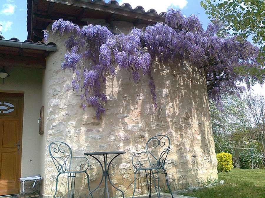 caselle ou studio ?