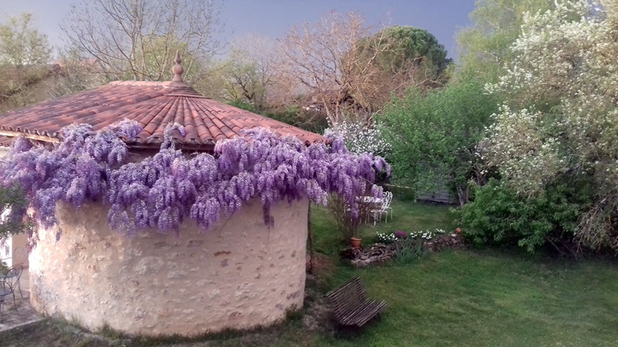 caselle ou studio ?